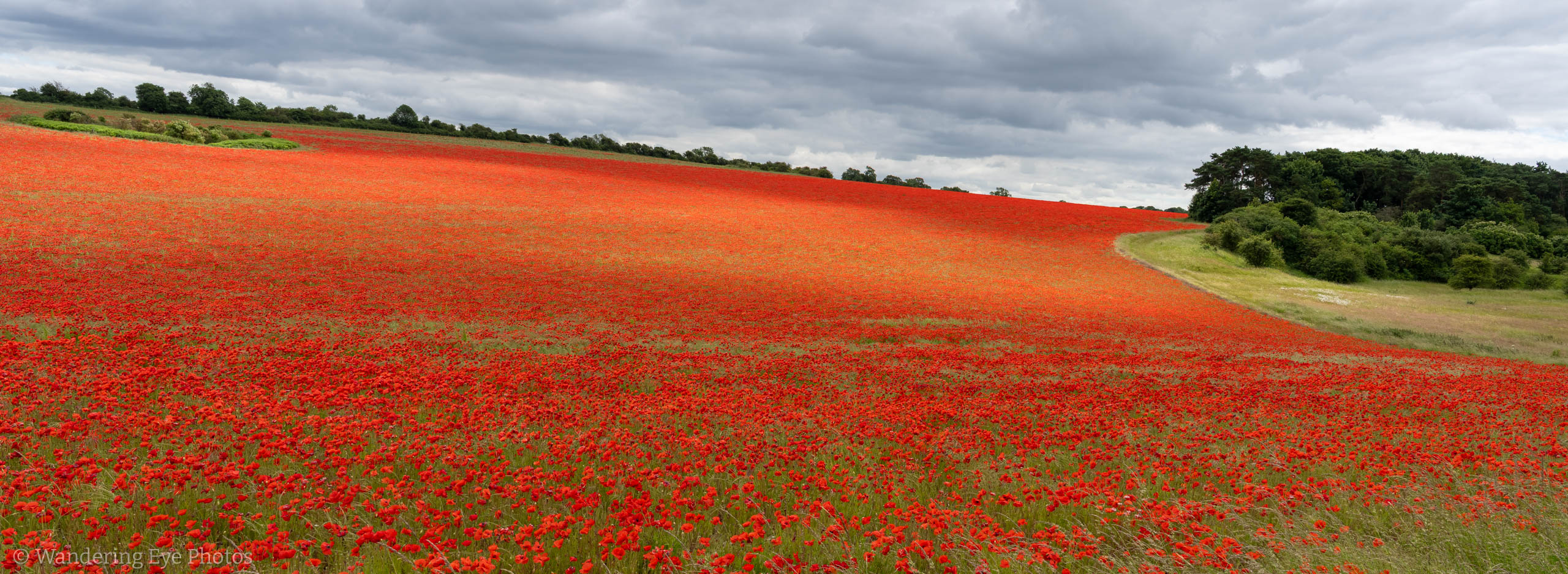 06.28 11.33.46   DSC08560